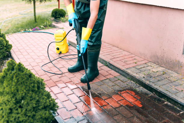 Professional Pressure Washing Services in Elmira, NY